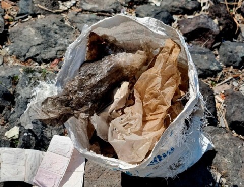 Recycle pollastic